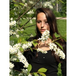 Judith 01